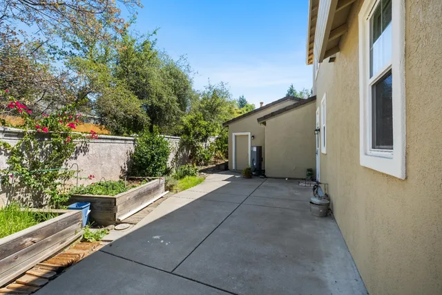 a open area with lots of trees