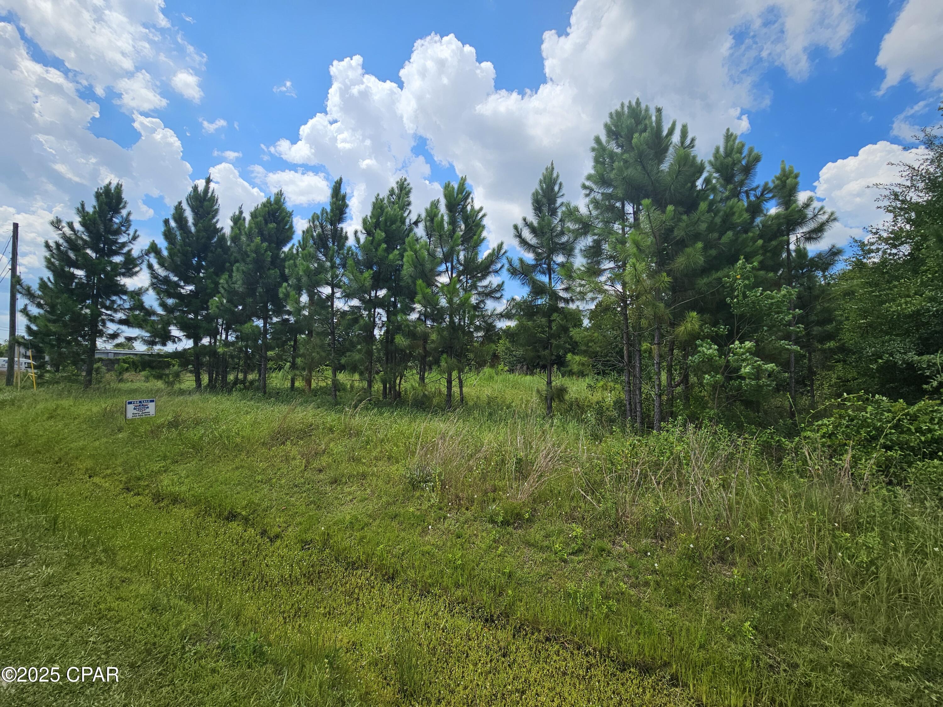 5209 Boat Race Road Panama City, FL 32404 - Photo 3 of 4