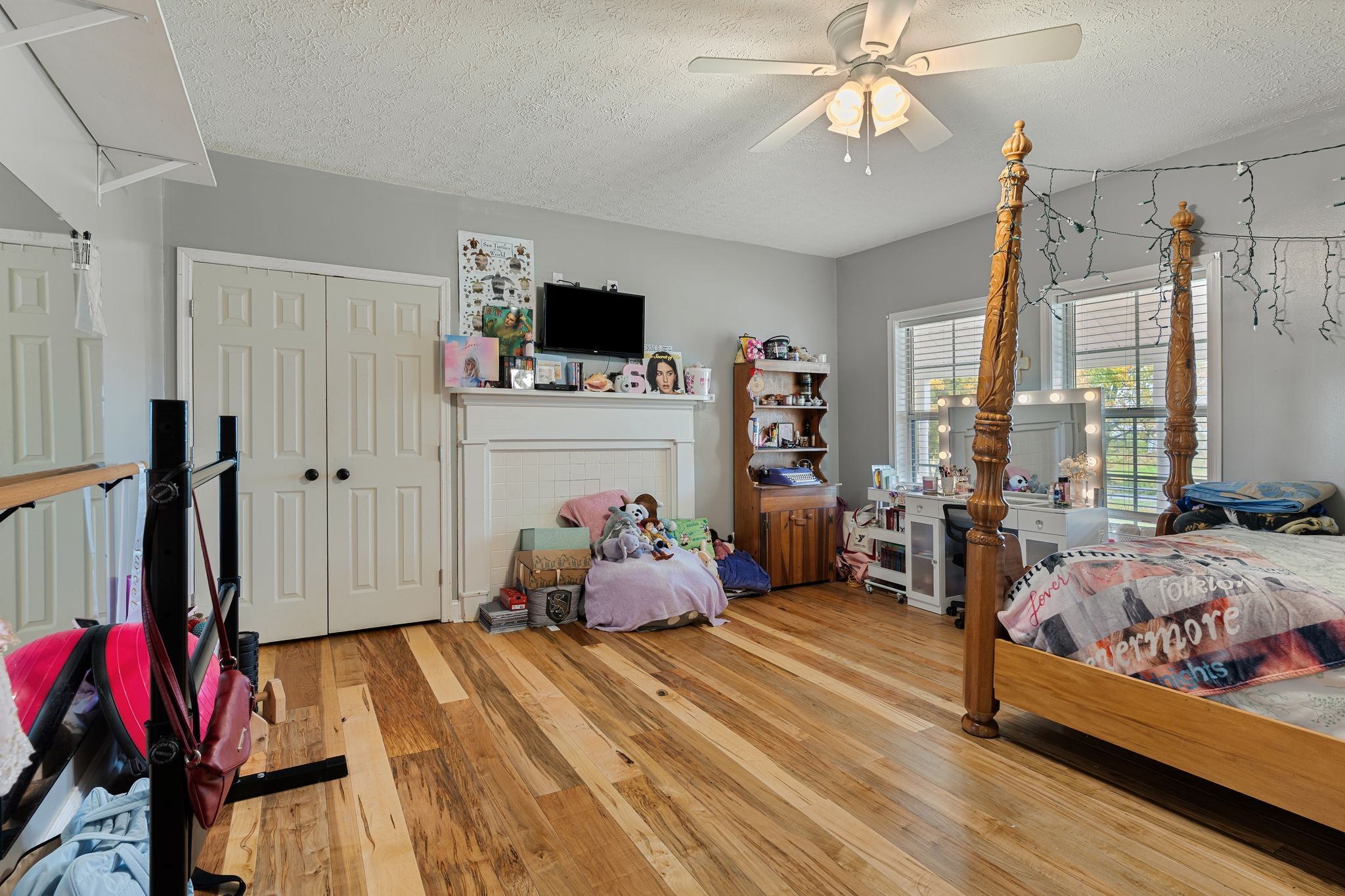 5867 Borthick Road Springfield, TN 37172 - Photo 19 of 43 a bedroom with furniture and a flat screen tv