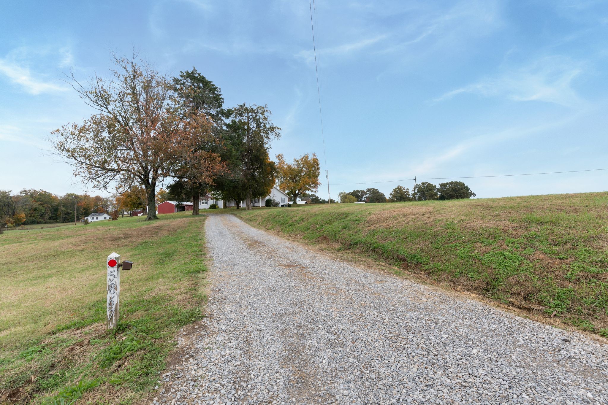 5867 Borthick Road Springfield, TN 37172 - Photo 38 of 43 a view of a tree with a yard