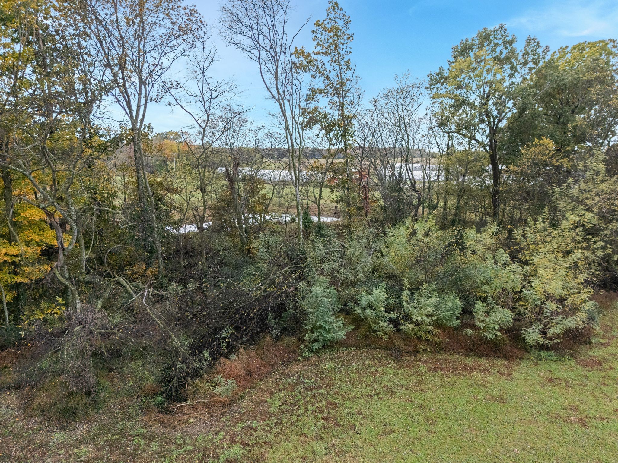 5867 Borthick Road Springfield, TN 37172 - Photo 39 of 43 a view of a yard with large trees