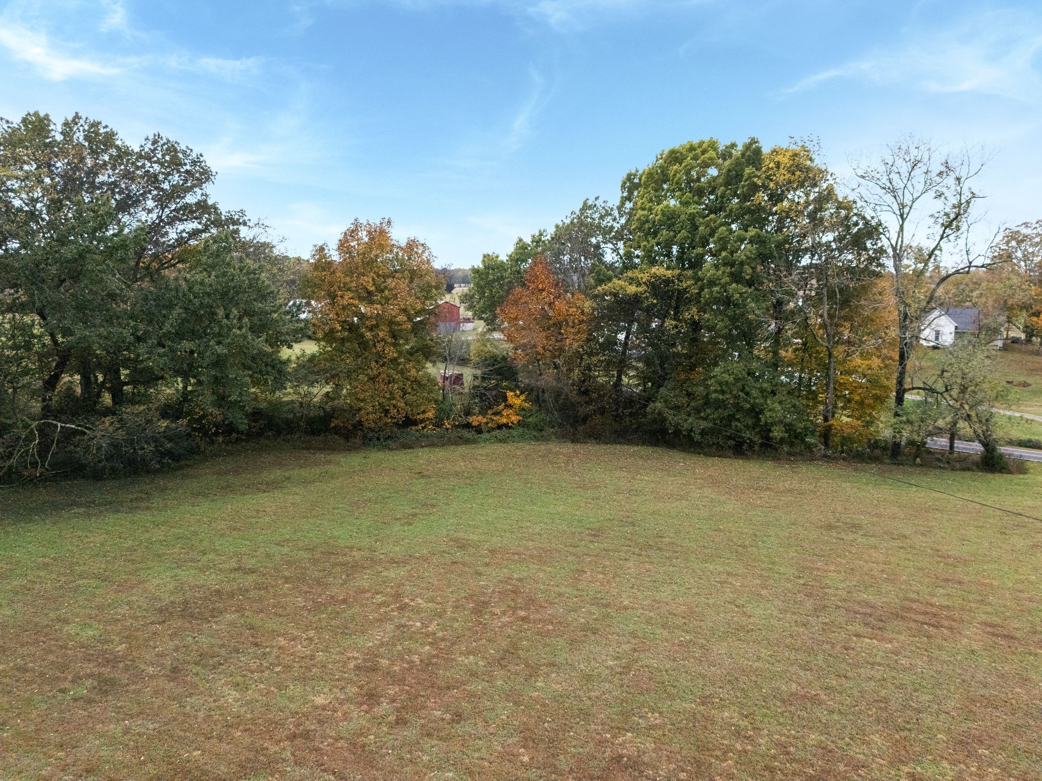 5867 Borthick Road Springfield, TN 37172 - Photo 40 of 43 a view of a field with trees