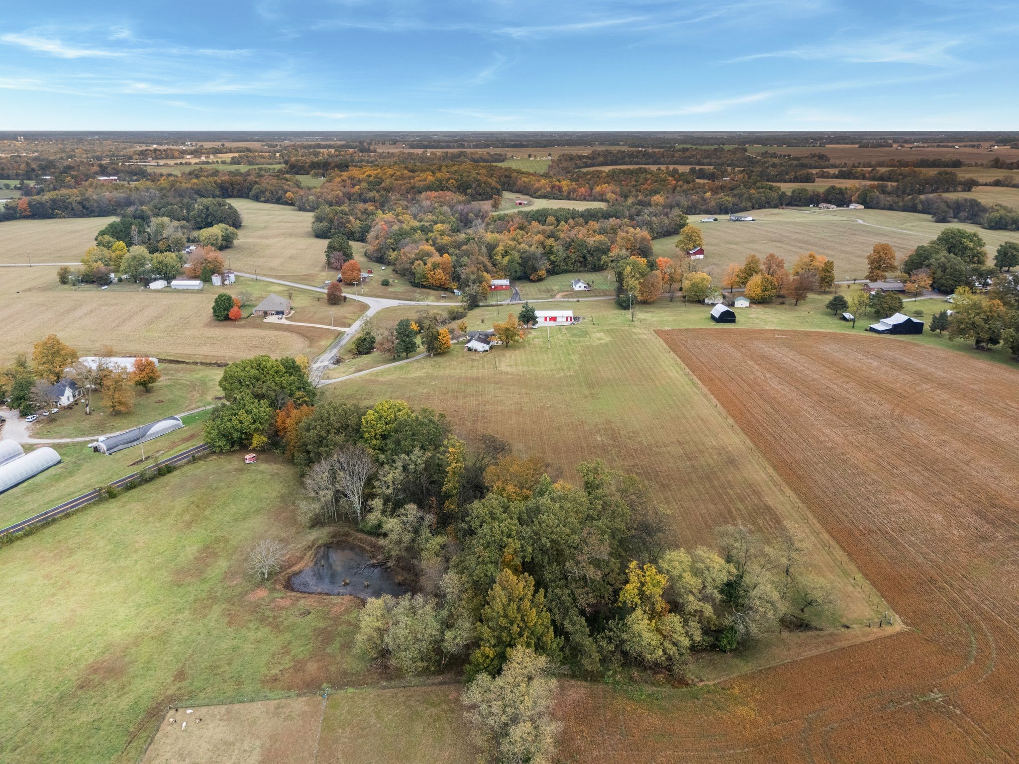 5867 Borthick Road Springfield, TN 37172 - Photo 5 of 43