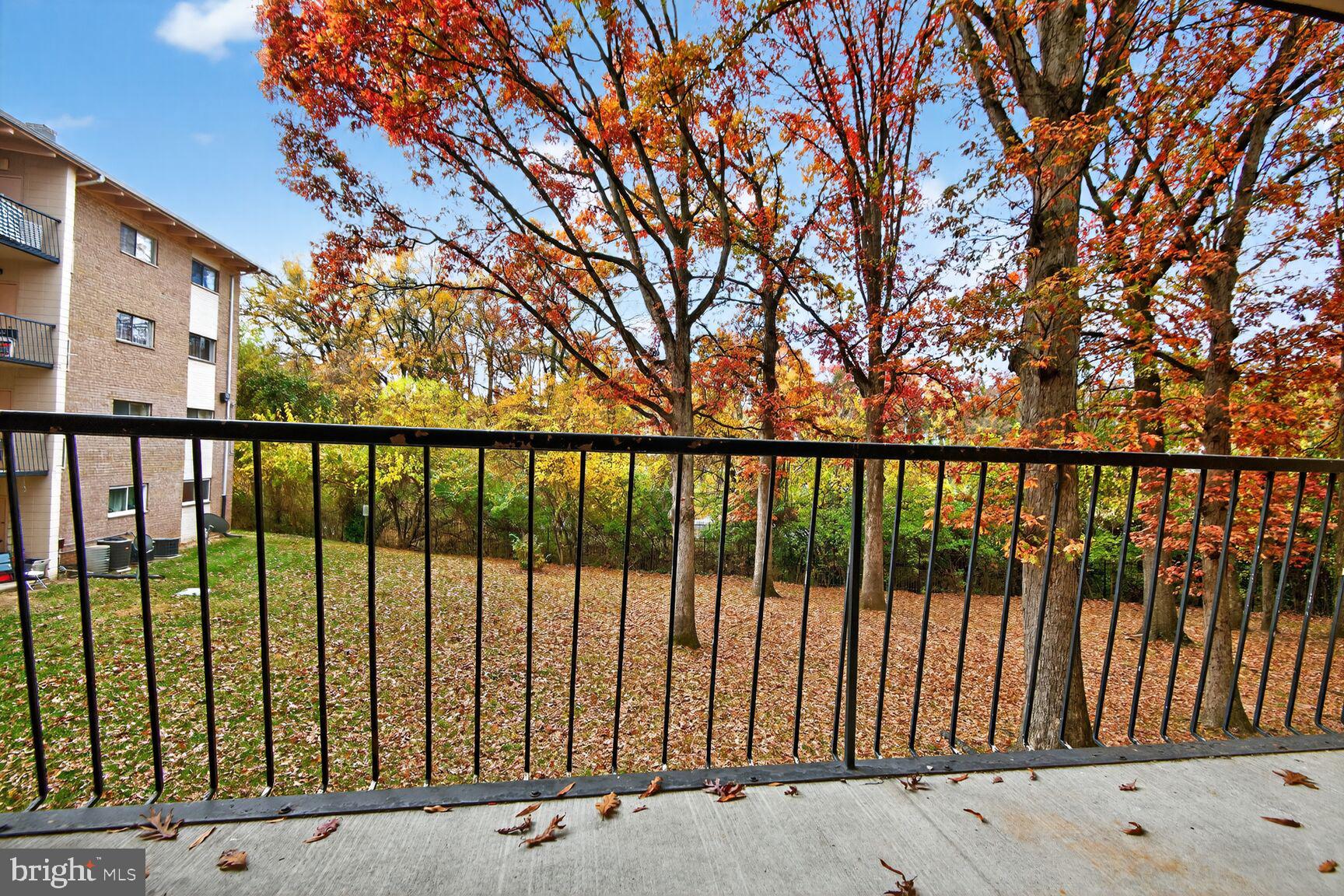 7505 Riverdale Road, Unit 2039 Hyattsville, MD 20784 - Photo 15 of 15 a view of a balcony