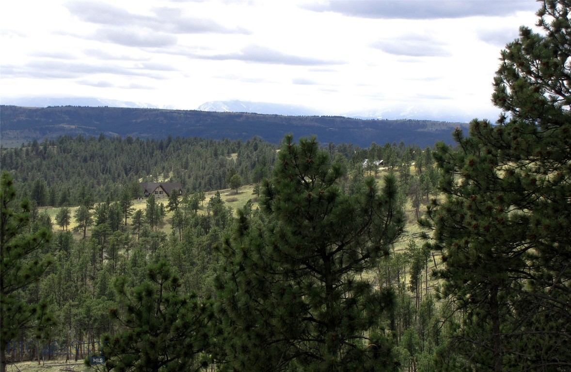 Tbd Tbd Wild Turkey Ridge Road Columbus, MT 59019 - Photo 3 of 55 Gallery Image 3