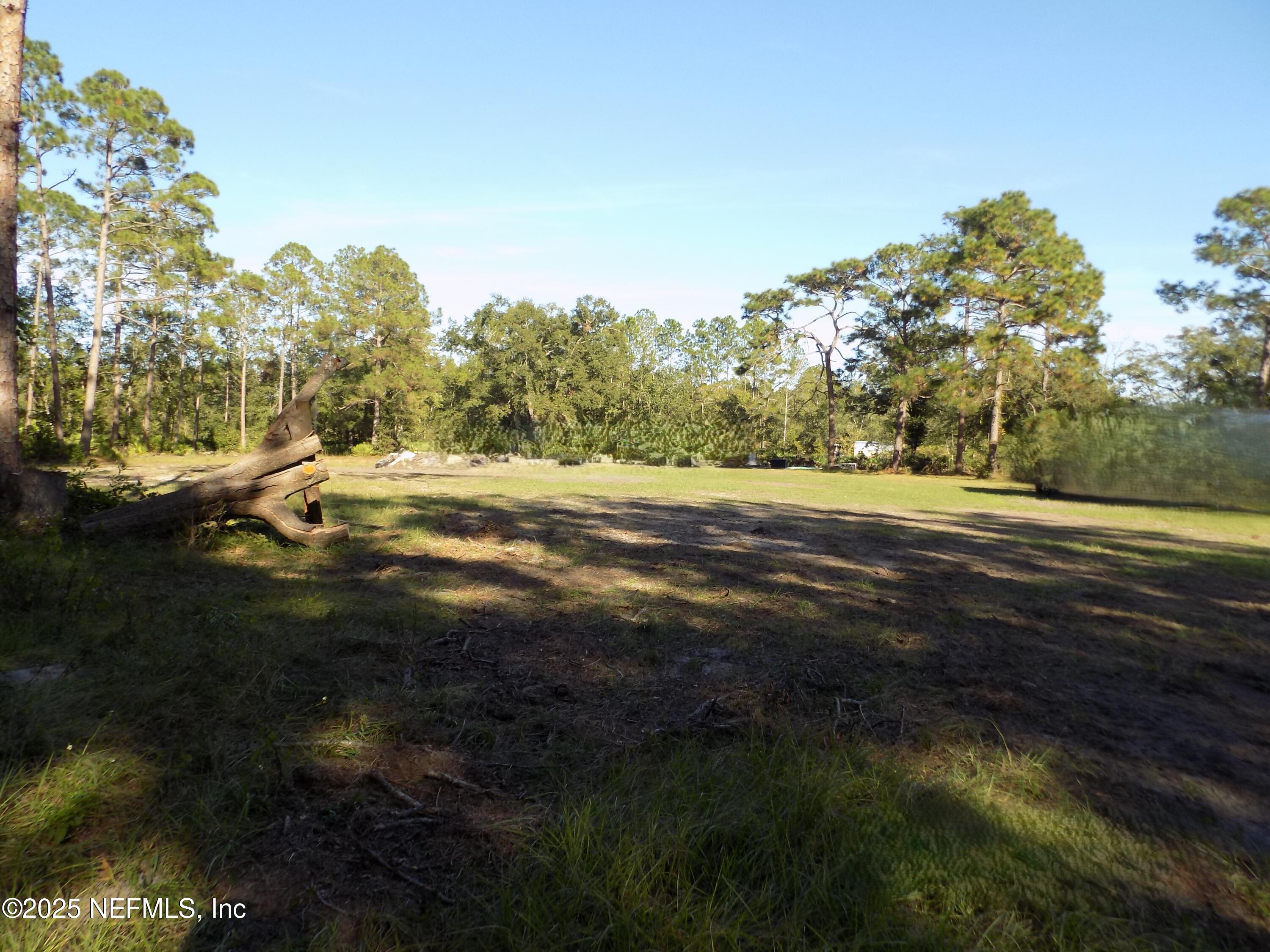 351-335 Otis Road Jacksonville, FL 32220 - Photo 1 of 11 a view of dirt field with trees