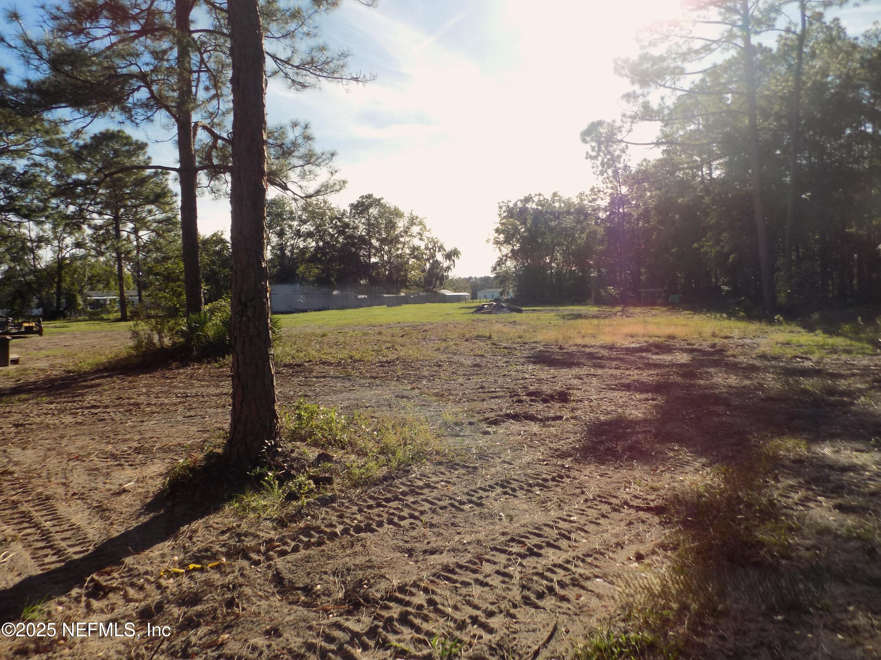 351-335 Otis Road Jacksonville, FL 32220 - Photo 7 of 11 a view of a yard with trees