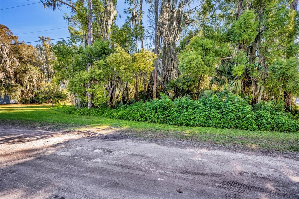 4th Street Osteen, FL 32764 - Photo 3 of 20 a view of a yard with a tree