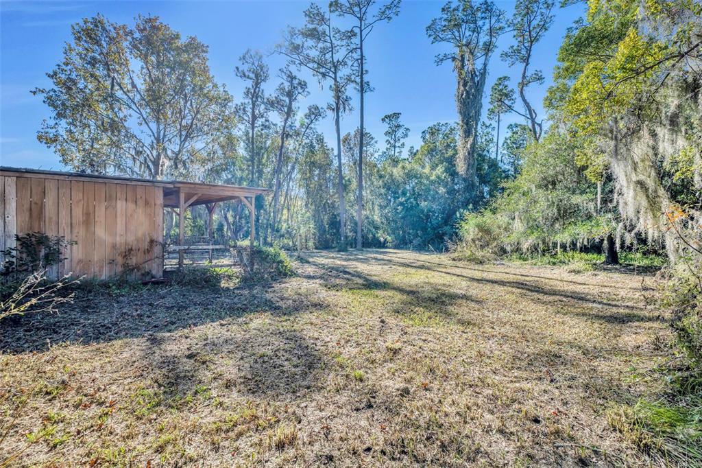 4th Street Osteen, FL 32764 - Photo 6 of 20 a view of backyard with green space