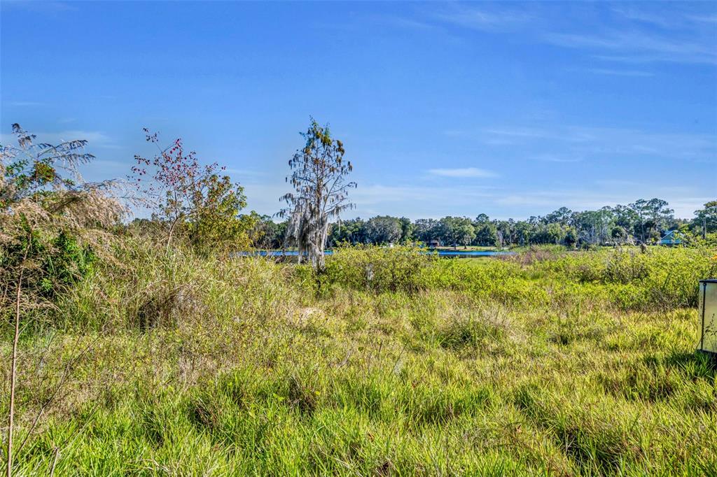 4th Street Osteen, FL 32764 - Photo 9 of 20 a view of a big yard with plants and a large tree