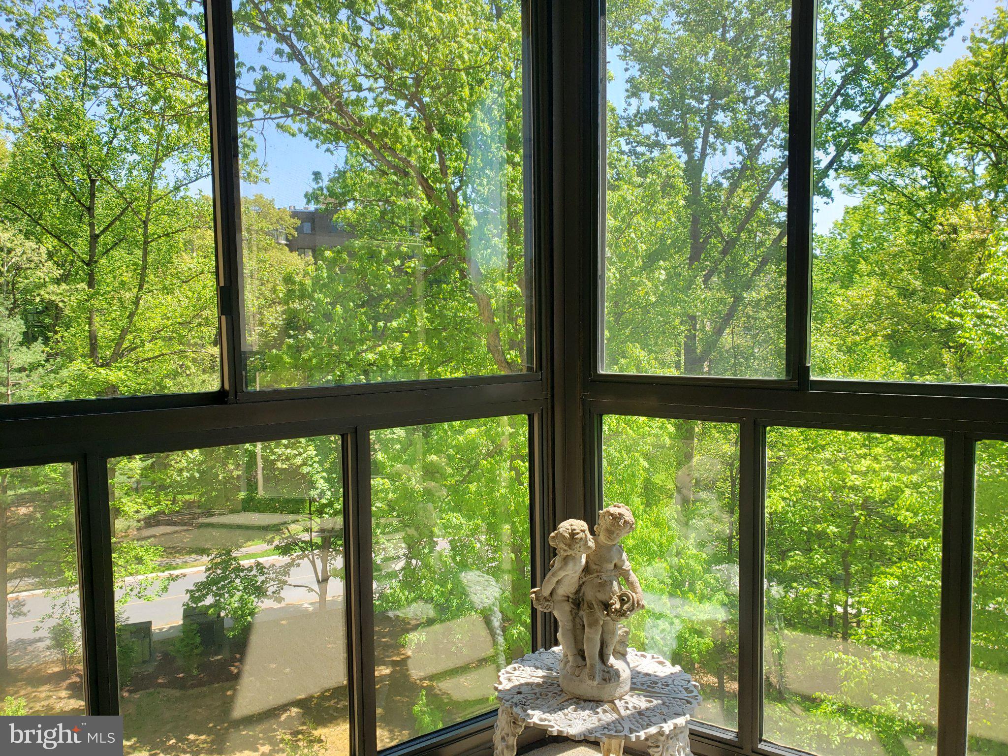 15100 Interlachen Drive, Unit 4520 Silver Spring, MD 20906 - Photo 26 of 39 Sunlit corner with lush greenery view.