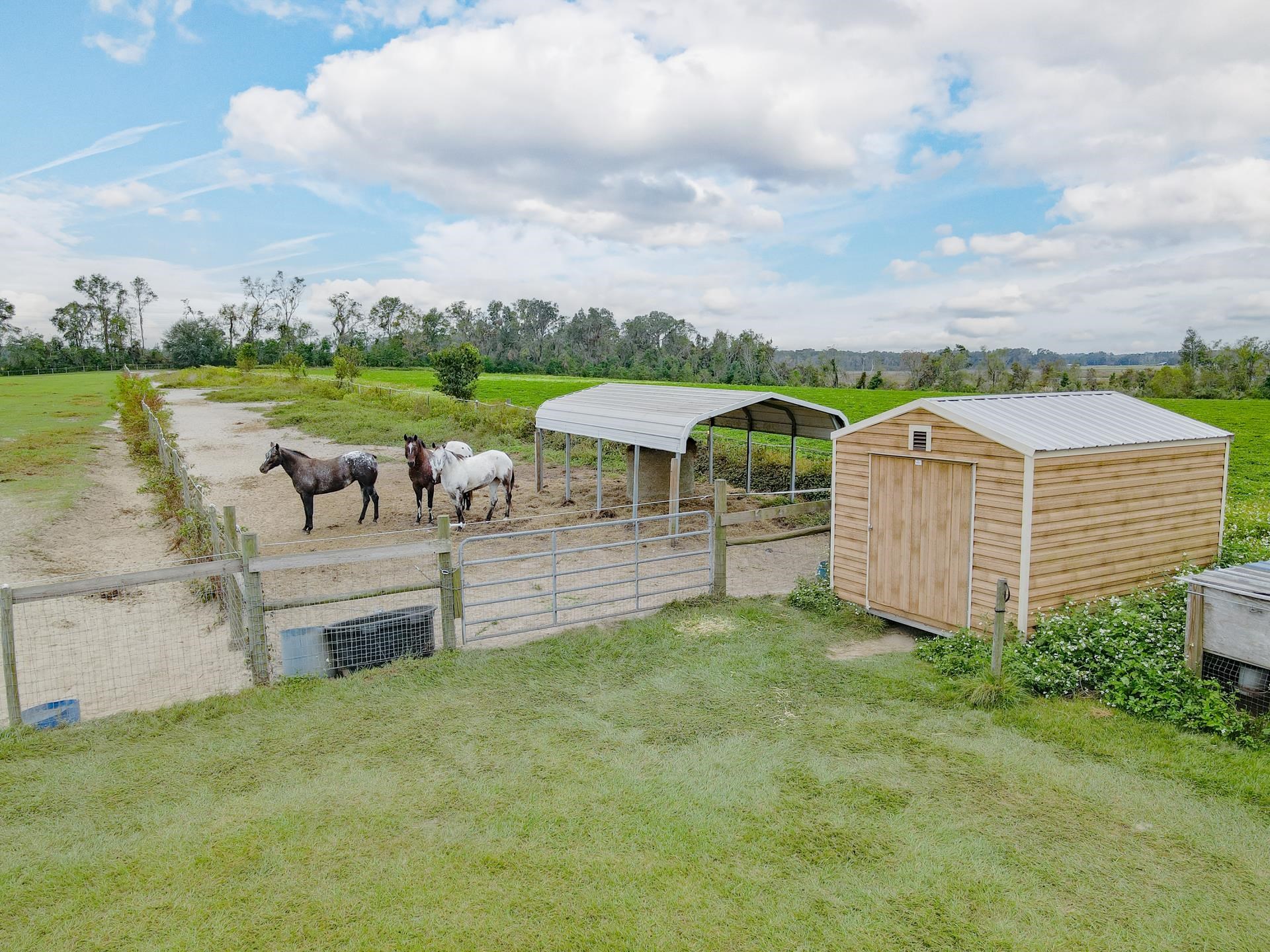 1048 Duval Pond Road Madison, FL 32340 - Photo 12 of 50