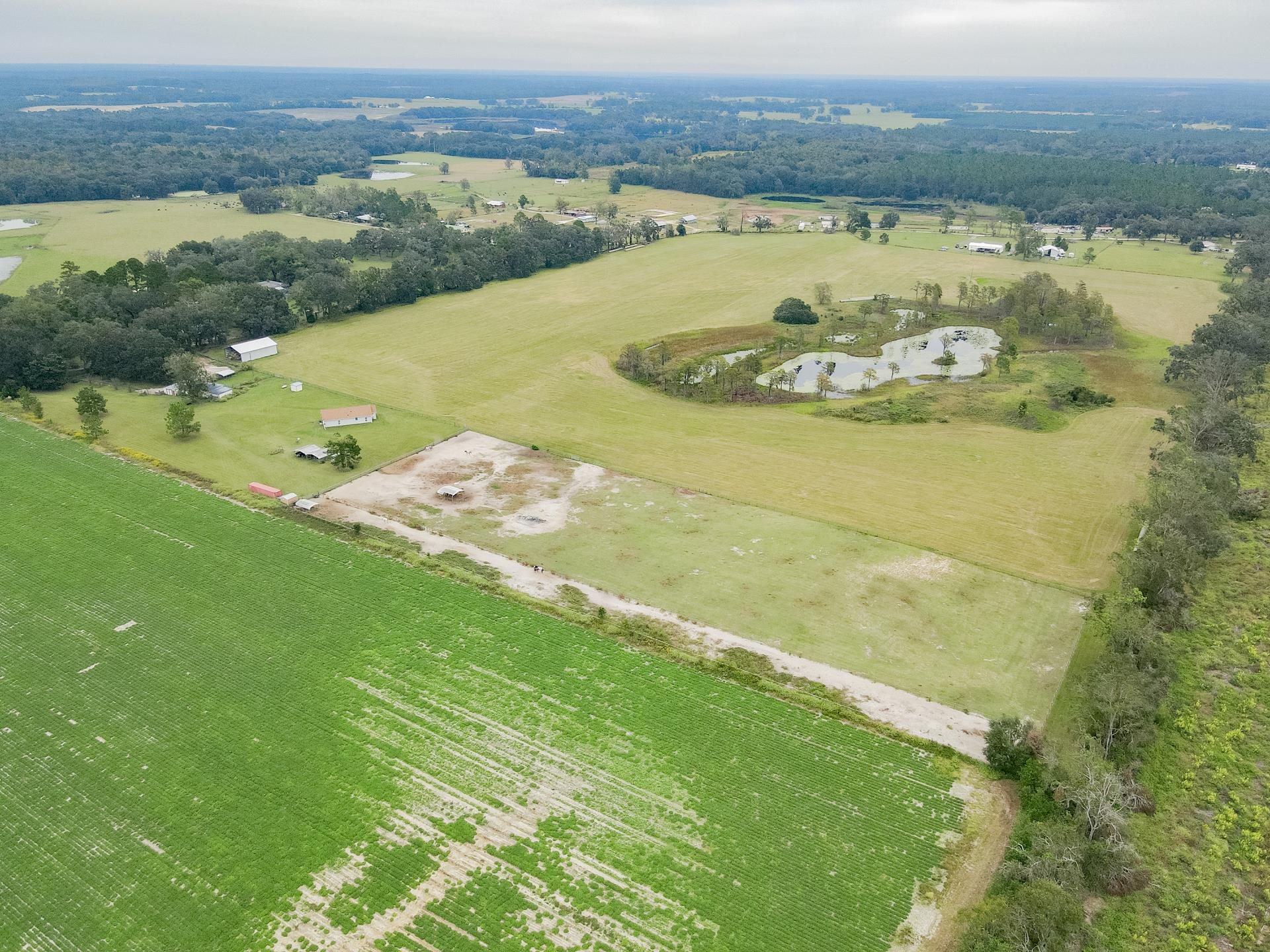 1048 Duval Pond Road Madison, FL 32340 - Photo 21 of 50