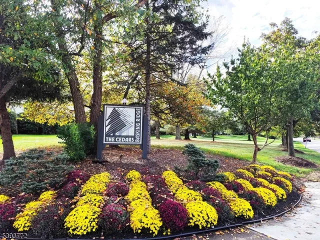 a view of backyard with swimming pool and patio