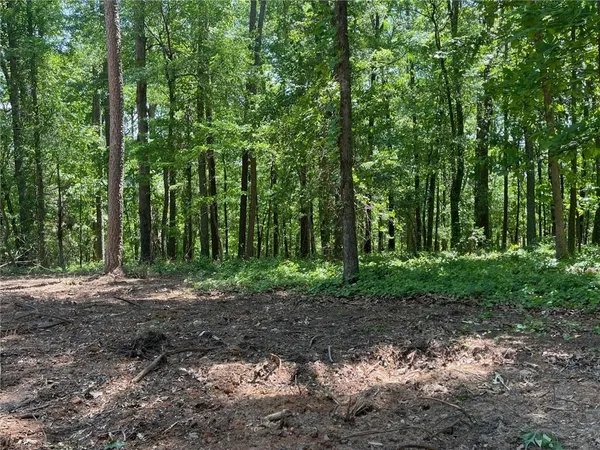 a view of a forest with trees