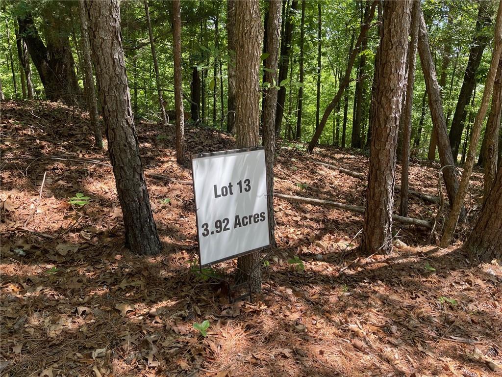 Lot 13 Chalcrest Way Cave Spring, GA 30124 - Photo 18 of 59 a sign that is sitting in the middle of forest