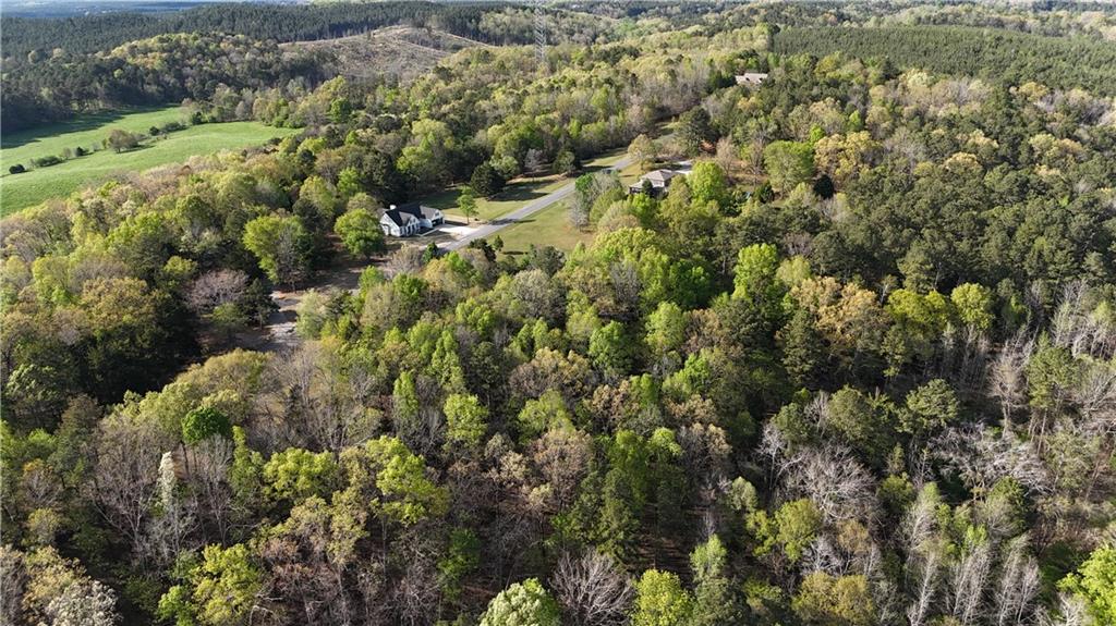 Lot 13 Chalcrest Way Cave Spring, GA 30124 - Photo 25 of 59 a view of a forest with a tree