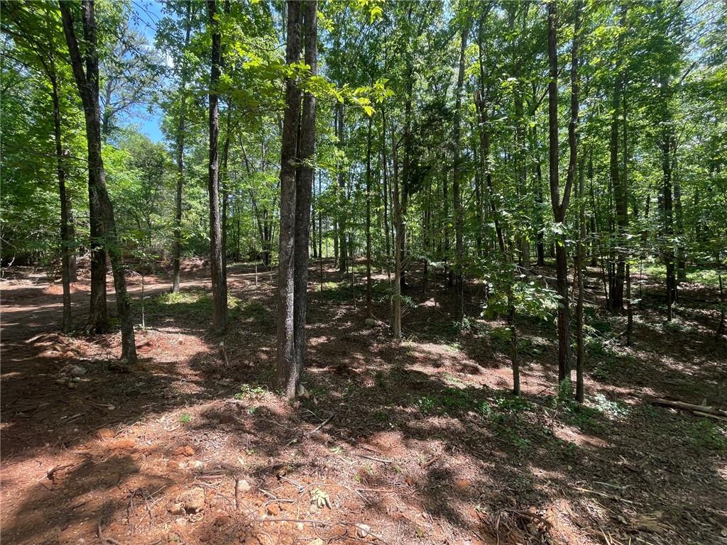 Lot 13 Chalcrest Way Cave Spring, GA 30124 - Photo 3 of 59 a view of forest