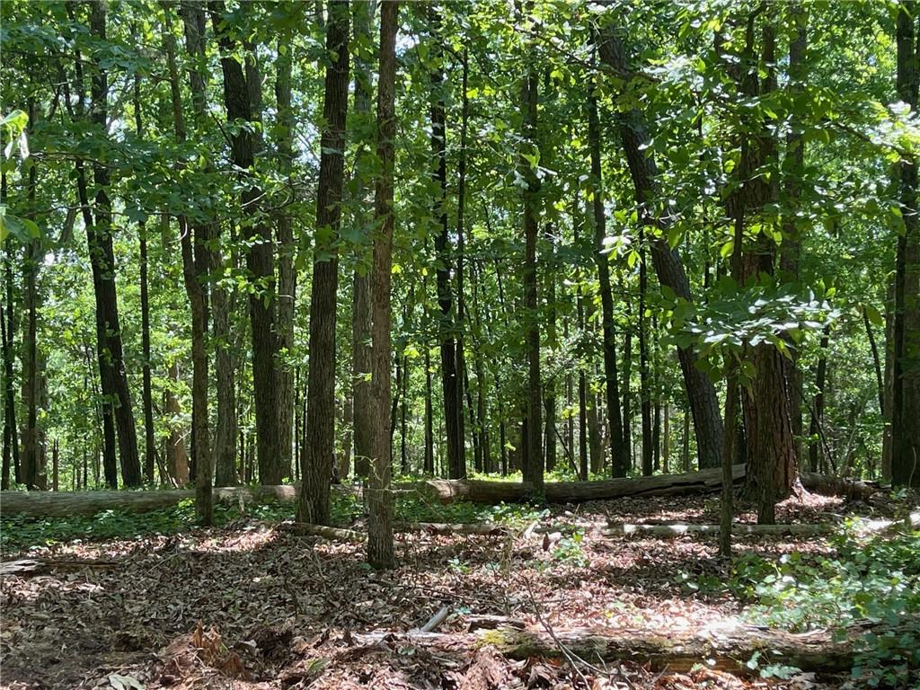 Lot 13 Chalcrest Way Cave Spring, GA 30124 - Photo 4 of 59 a view of outdoor space and trees