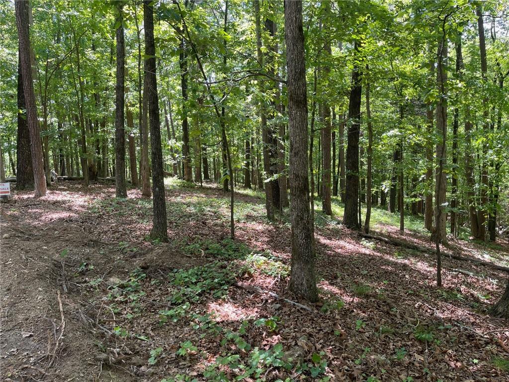Lot 13 Chalcrest Way Cave Spring, GA 30124 - Photo 5 of 59 a backyard of a house with lots of green space