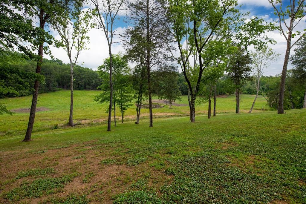 1455 Shady Lane Road Dayton, TN 37321 - Photo 4 of 55 Gallery Image 4