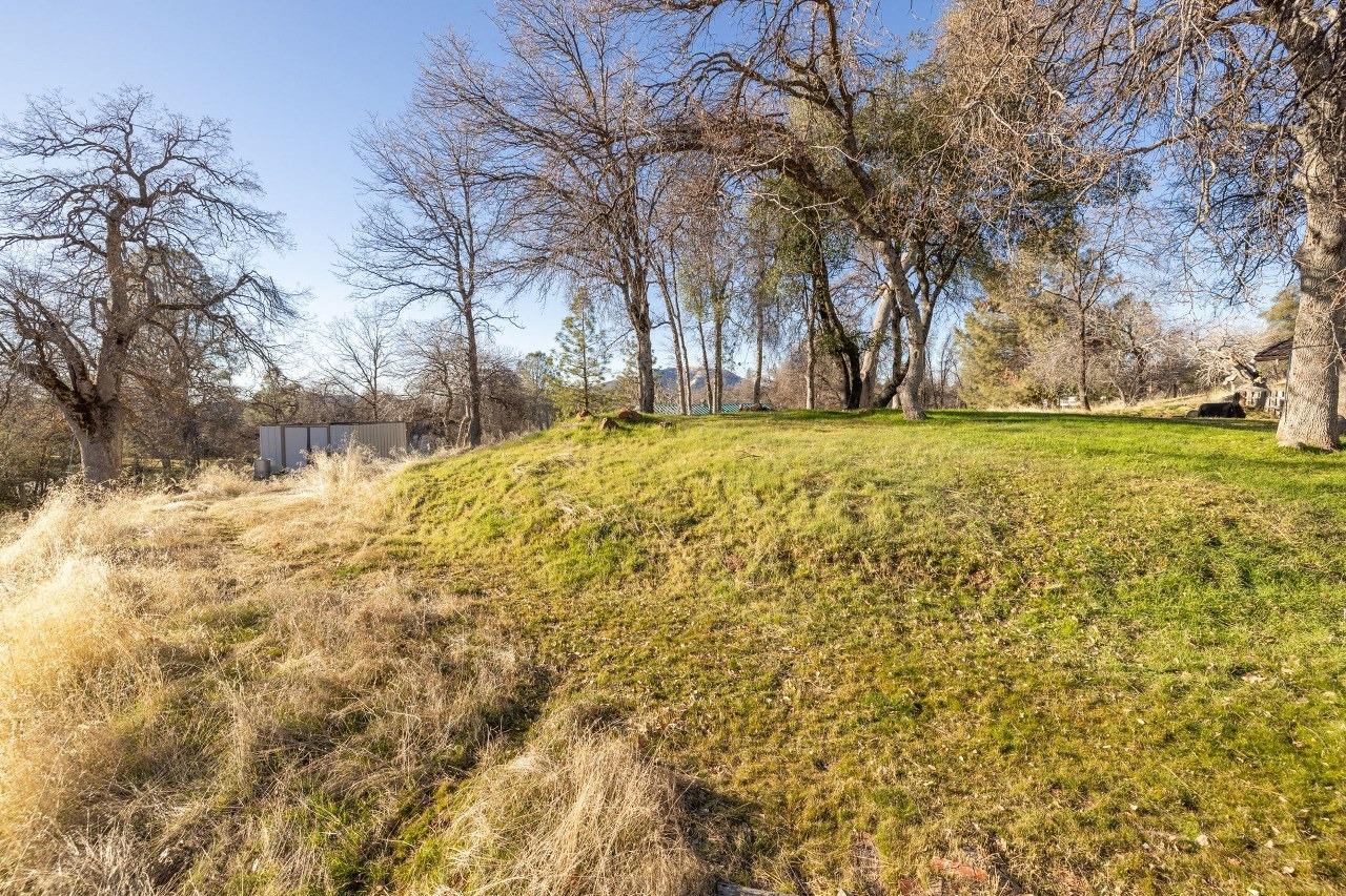 36820 Mudge Ranch Road Coarsegold, CA 93614 - Photo 60 of 75 a view of large yard with large trees