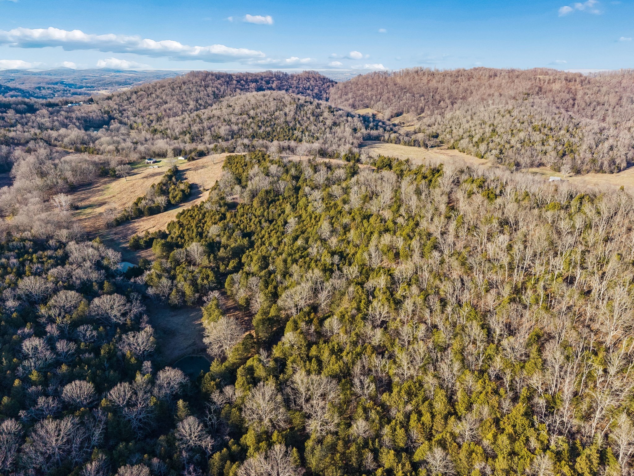 2370 Patton Hollow Road Watertown, TN 37184 - Photo 38 of 50 view of city and mountain