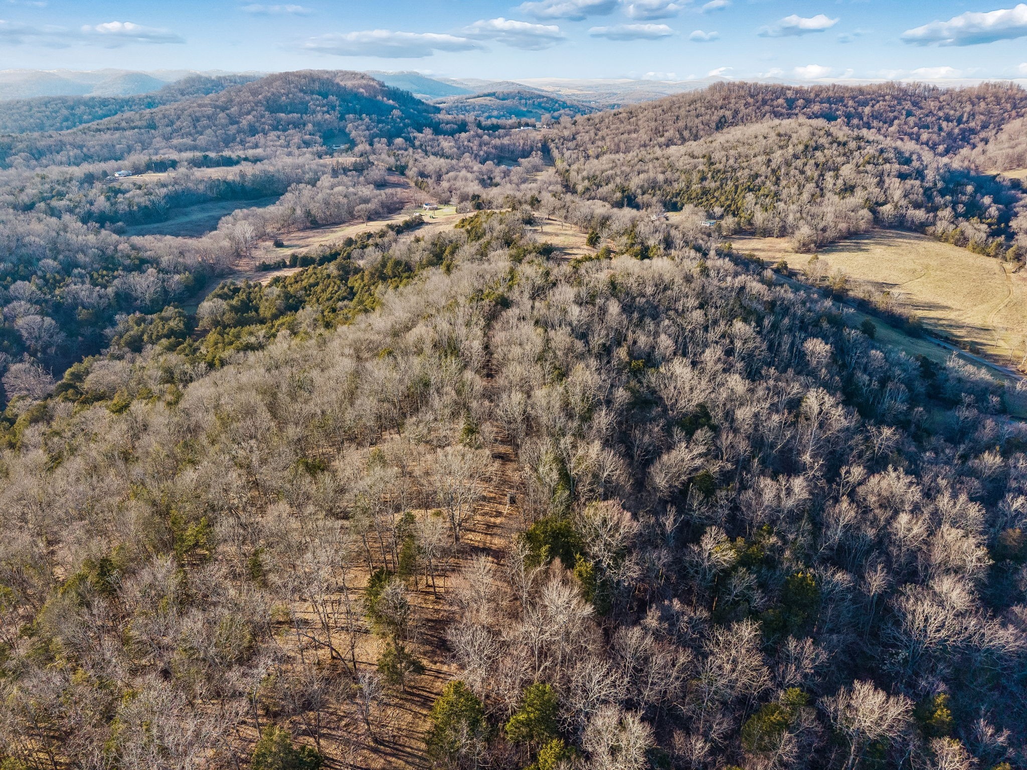 2370 Patton Hollow Road Watertown, TN 37184 - Photo 40 of 50 a view of a city with mountains in the background