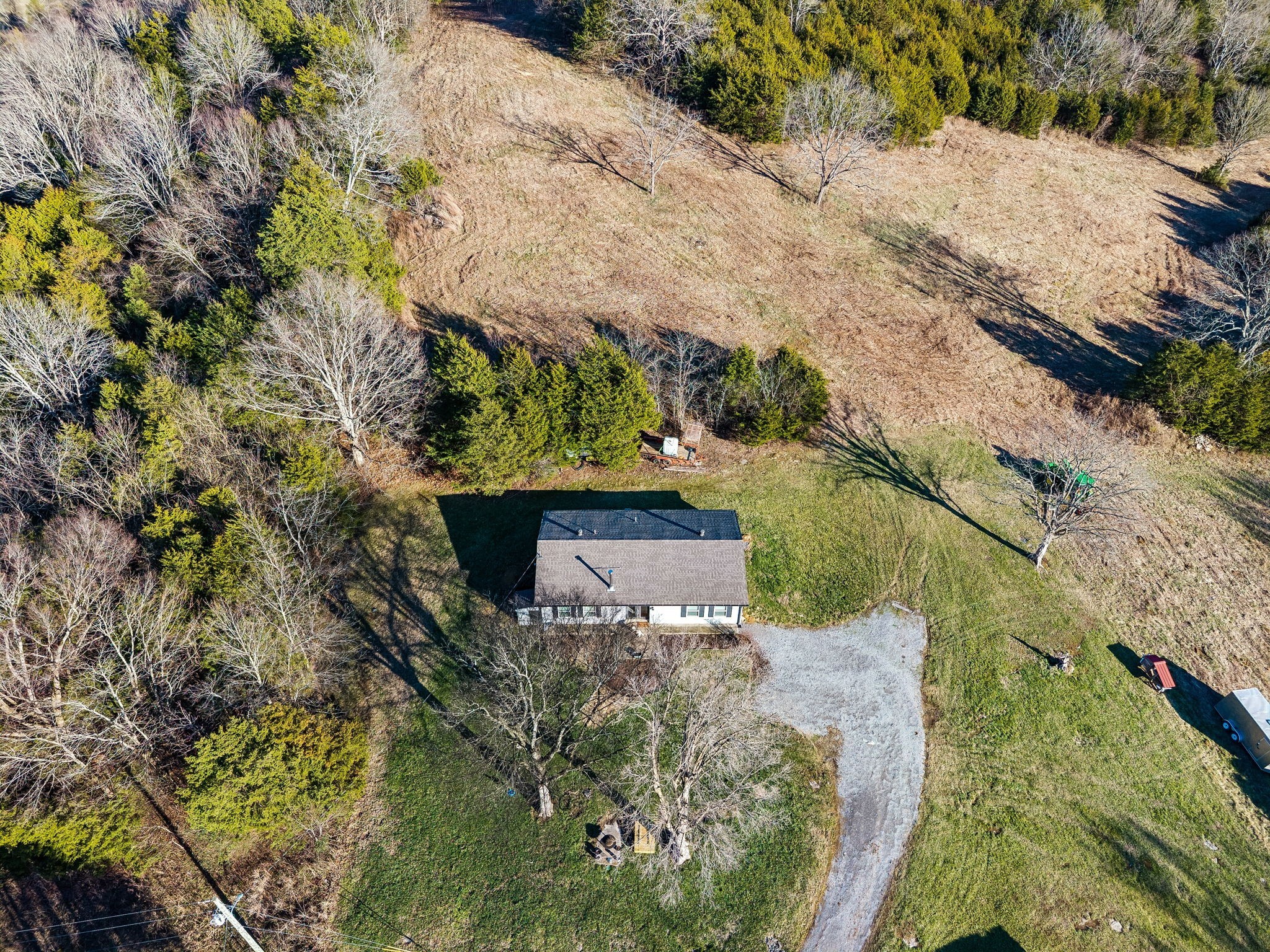2370 Patton Hollow Road Watertown, TN 37184 - Photo 48 of 50 a view of a tree with yard