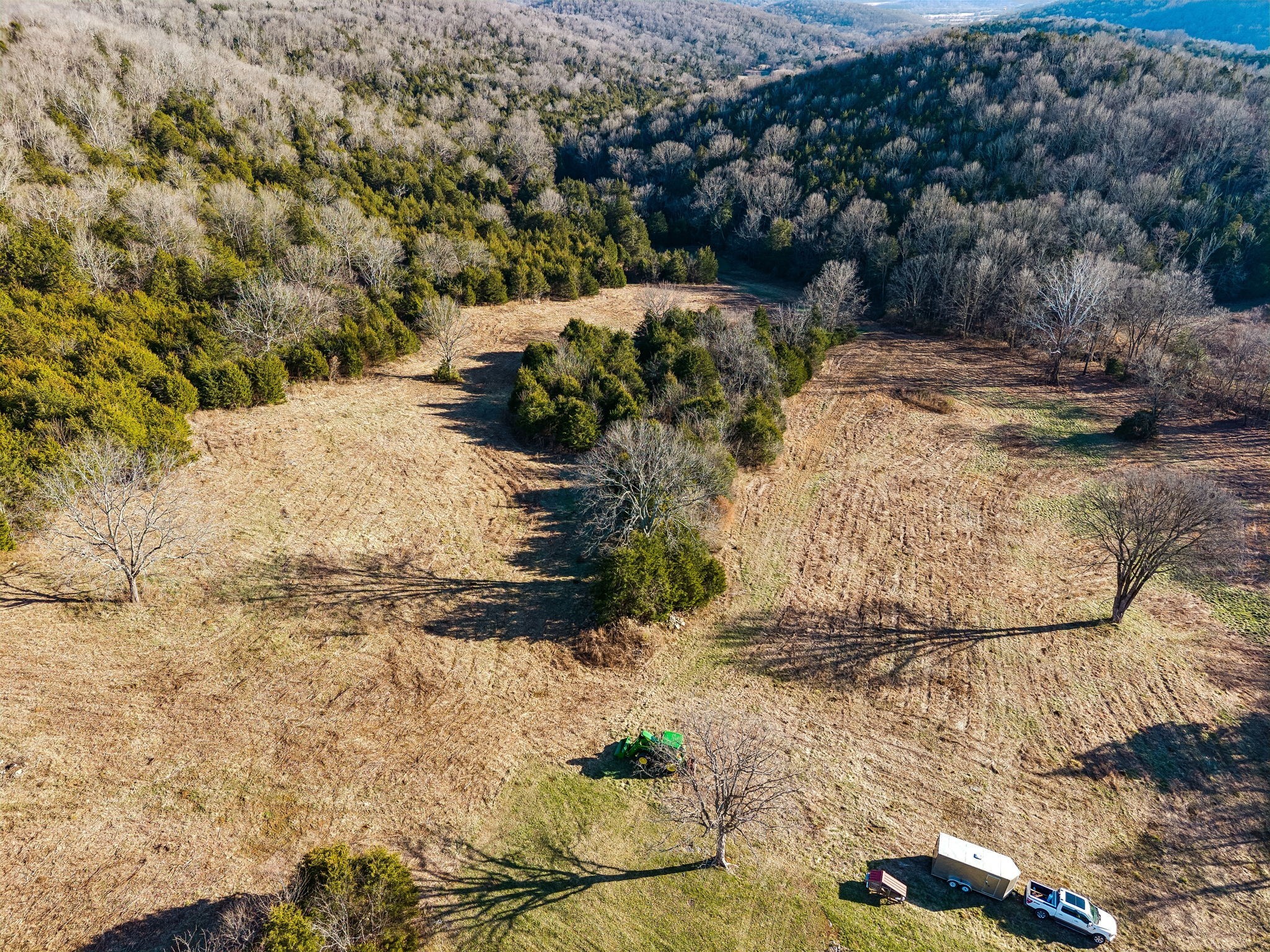 2370 Patton Hollow Road Watertown, TN 37184 - Photo 50 of 50 a view of a yard with plants