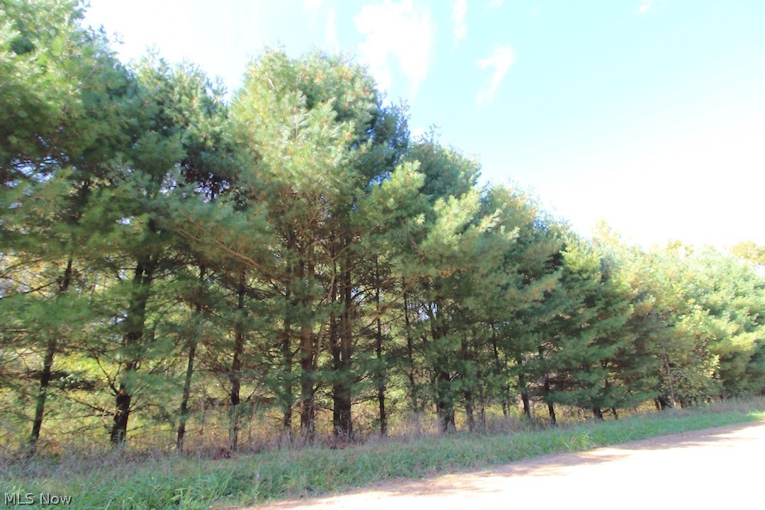 Horseshoe Bend Road Newcomerstown, OH 43832 - Photo 22 of 23 Gallery Image 22