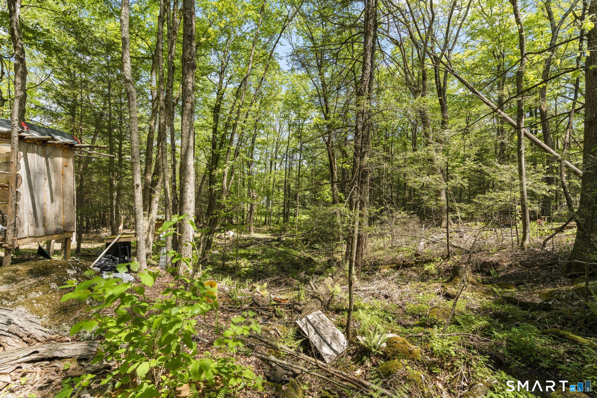 321 Colebrook Road Winchester, CT 06098 - Photo 12 of 39