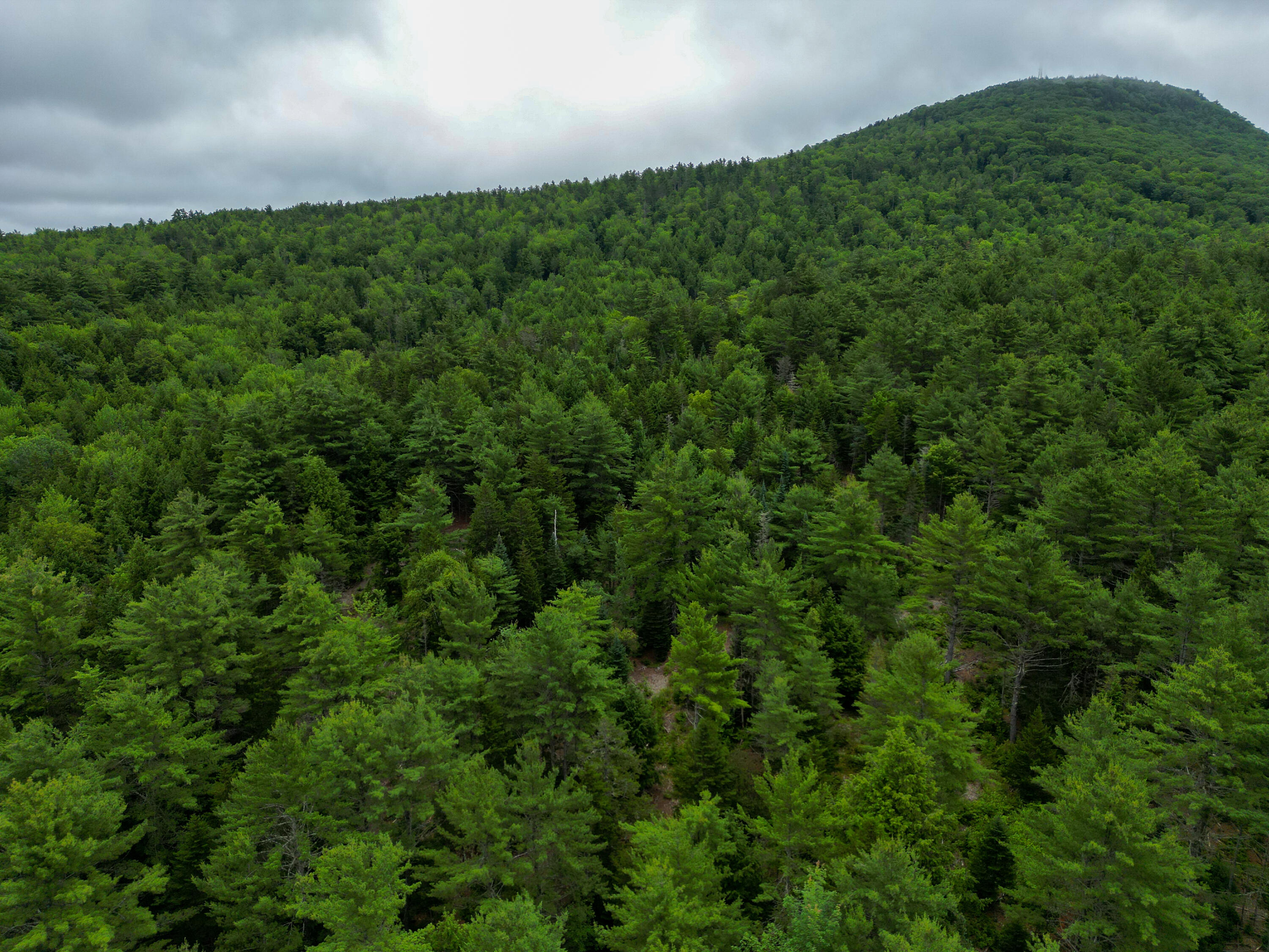 Lot 30 Irish Neighborhood Road Bethel, ME 04217 - Photo 12 of 24 DJI_0617