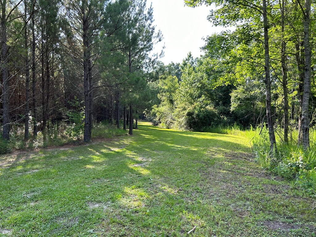 3876 D D Hodge Road Cottonwood, AL 36320 - Photo 30 of 48