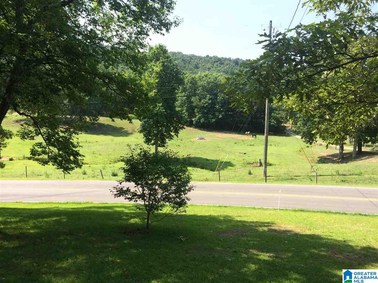 8818 Bluff Ridge Road Bessemer, AL 35022 - Photo 38 of 38