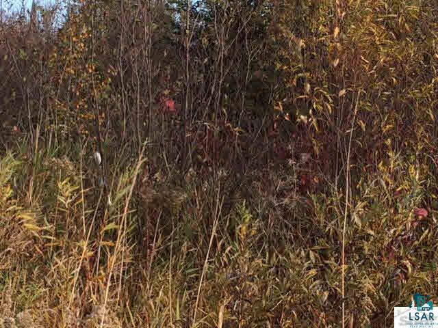 94-xx East Erickson Road South Range, WI 54874 - Photo 2 of 8