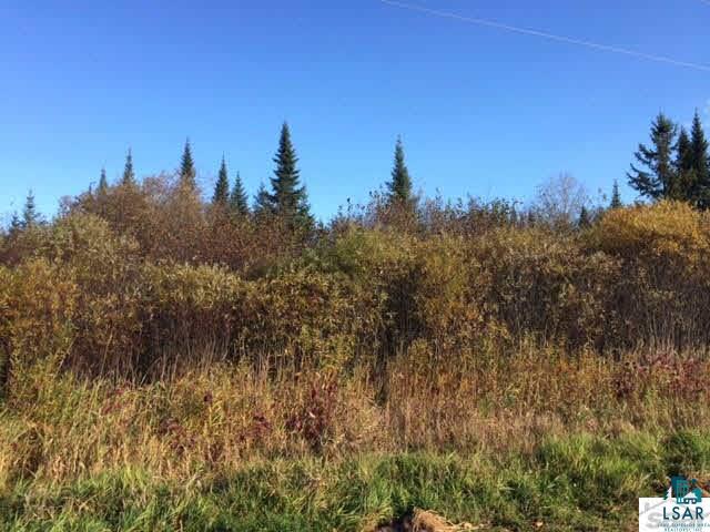 94-xx East Erickson Road South Range, WI 54874 - Photo 6 of 8