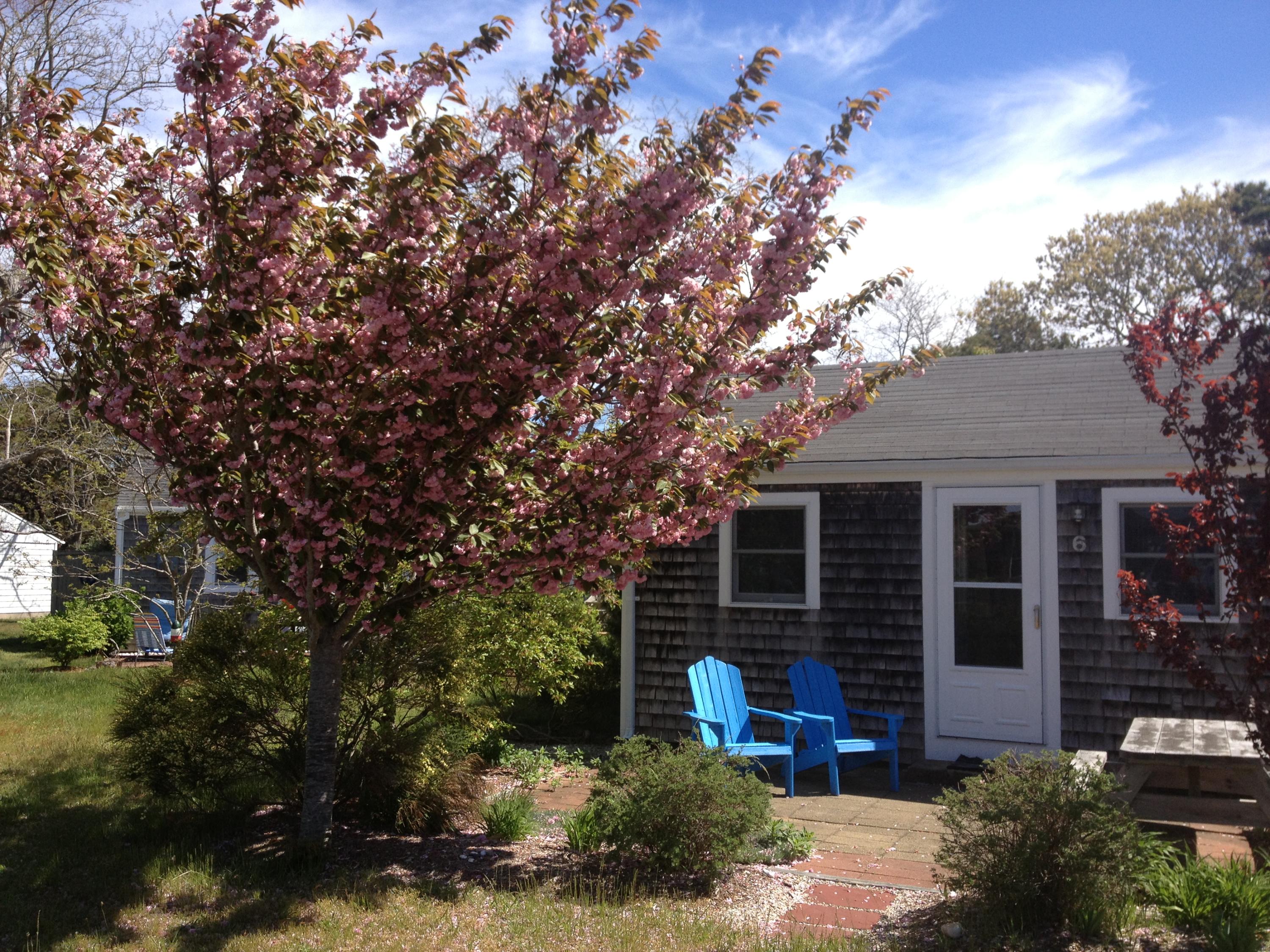 125 Shore Road, Unit 6 Truro, MA 02666 - Photo 2 of 19 IMG_0143
