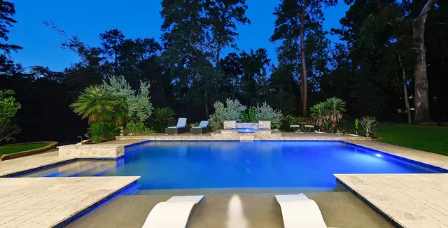 a view of a swimming pool with lounge chairs and potted plants