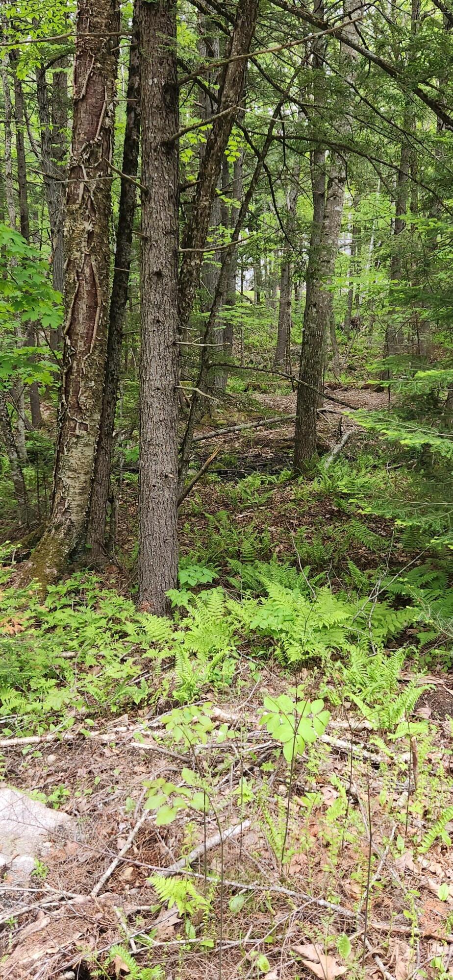 42-272 King Hill Road Limerick, ME 04048 - Photo 5 of 7 king 5