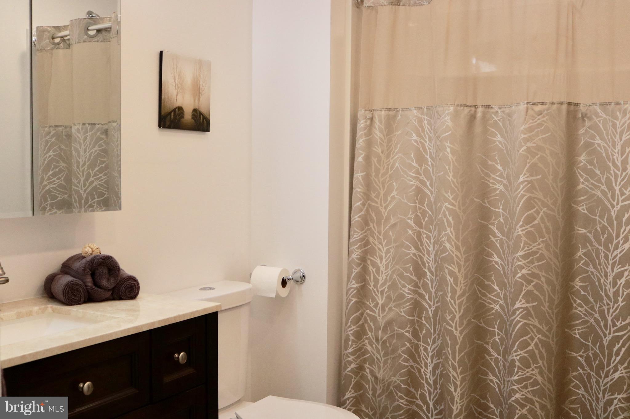 2923 Schoolhouse Road Middletown, PA 17057 - Photo 17 of 28 All new cabinet, counter, toilet and shower