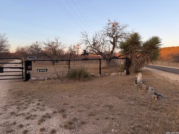 a view of backyard and trees