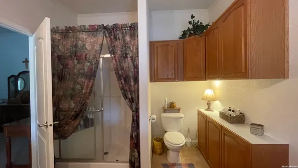 a view of a tree in a yard