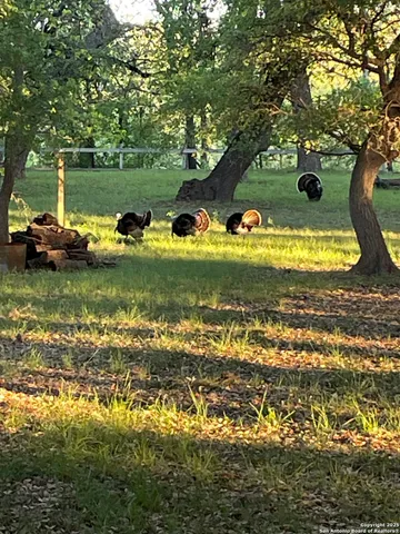 $897,000 | 1559 County Road 414, Uvalde, TX 78801