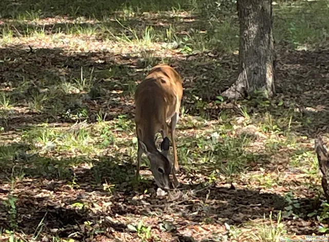 $897,000 | 1559 County Road 414, Uvalde, TX 78801