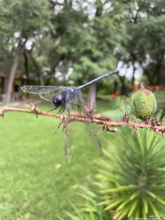 $789,000 | 1559 County Road 414, Uvalde, TX 78801