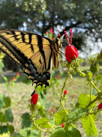 $897,000 | 1559 County Road 414, Uvalde, TX 78801