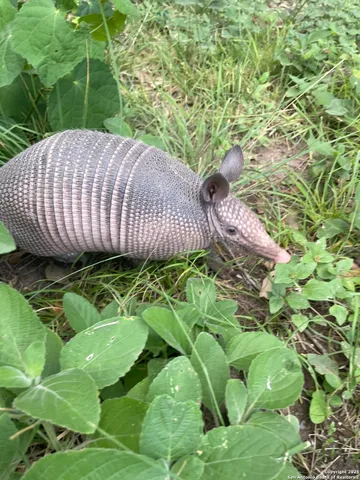 $897,000 | 1559 County Road 414, Uvalde, TX 78801