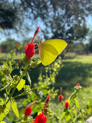 $897,000 | 1559 County Road 414, Uvalde, TX 78801