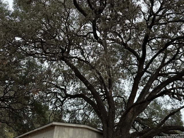 $897,000 | 1559 County Road 414, Uvalde, TX 78801